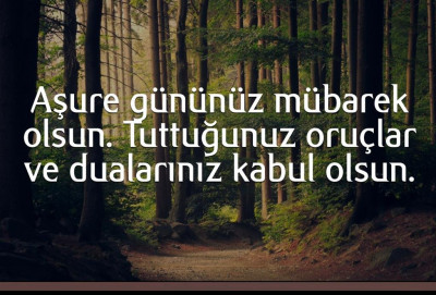 WhatsApp Bild 2023-07-28 um 08.05.29.jpg